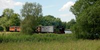 2012-06-16_Dippelsdorfer_Teich_1529.JPG