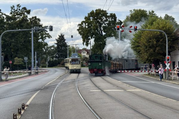Weißes Roß_2025