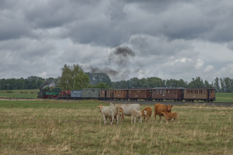 Traditionszug unterwegs nach Radeburg, 22.08.2026 (c) TRR/CH